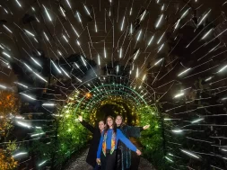 Lights in the Botanical Garden of Quito