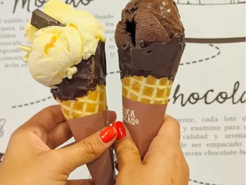 taste-and-quality-of-ecuadorian-cacao